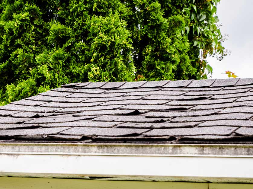 Common Signs Your Roof Is Aging